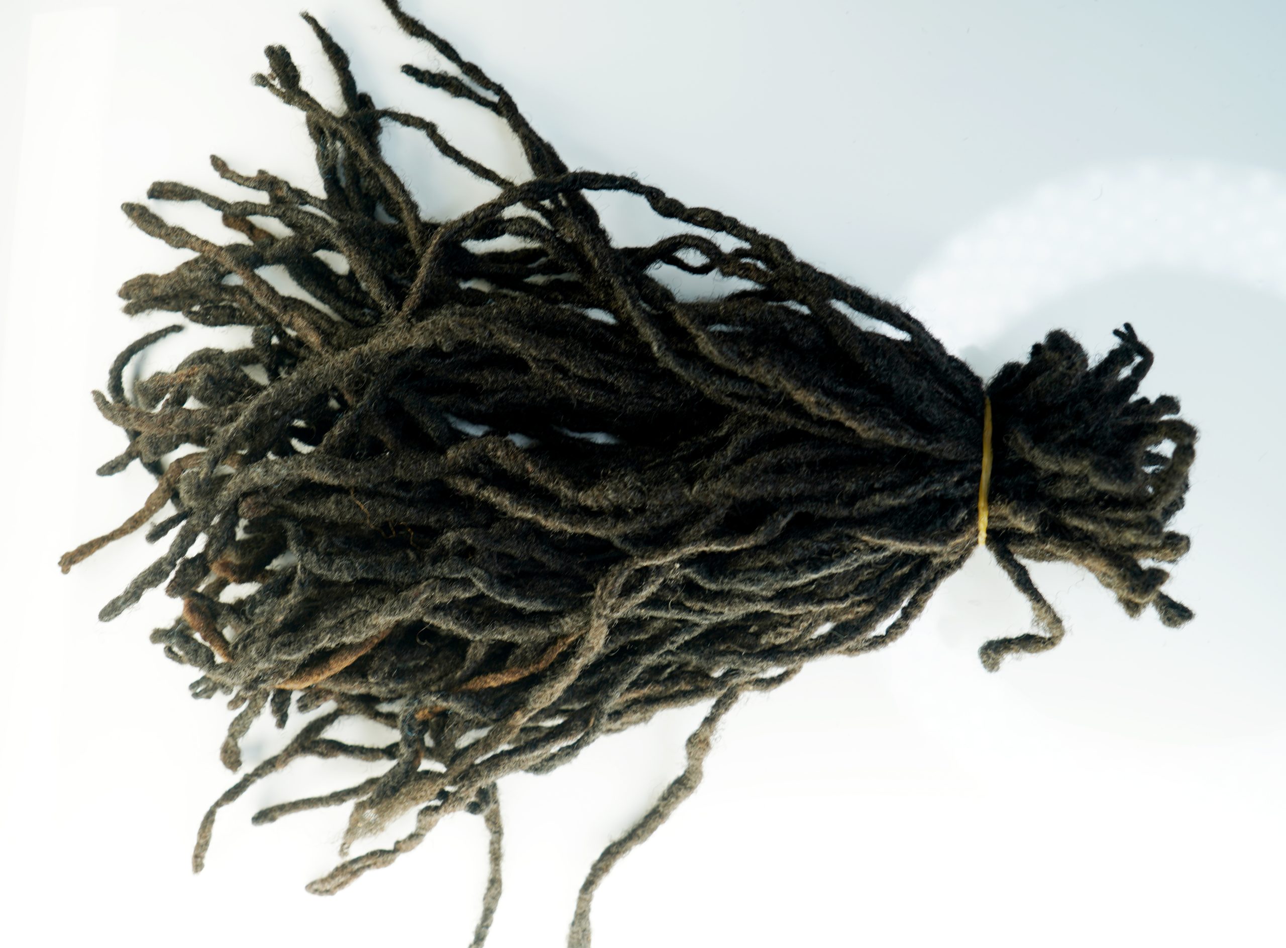 Naturally grown dreadlocks — detoxified, thoroughly washed, and ready to ship and install. - Image 4