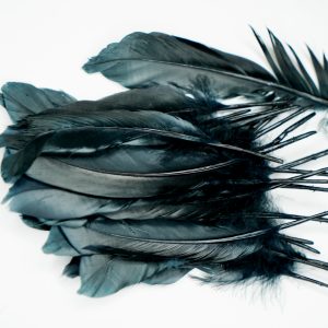Black Feathers set of 10