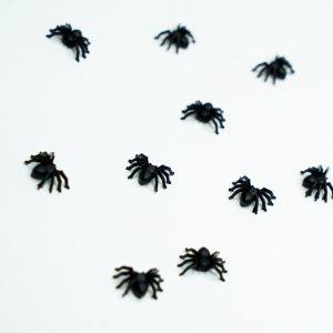 Charm set Standard 6