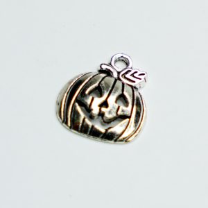 Charm small 14