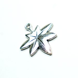 Charm small 27
