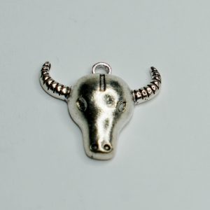 Charm small 21