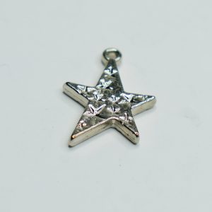 Charm small 41