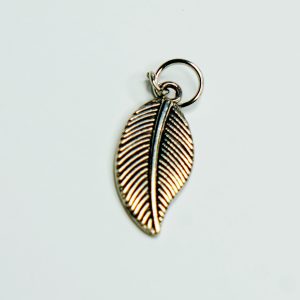 Charm small 39